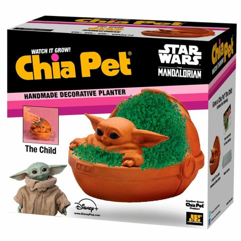 The Child Chia Pet