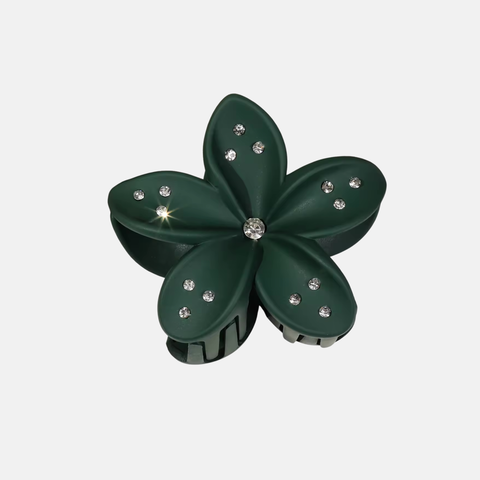 French
Barrette Fleurie